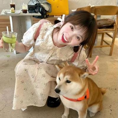 恋情告急